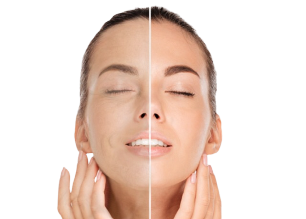 
                  
                    Stem Cell Facial System Includes: Two Complete Facials + Free 4oz Antioxidant Botanical Cleanser
                  
                